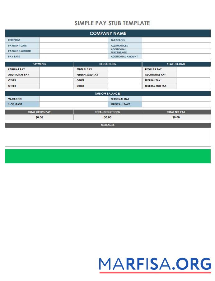 Printable Company pay stubs real example